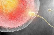 卵子发育不良会不孕，男性用3种方法调理身体避免不育