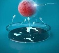 厦门做三代试管费用一般多少钱？哪家医院好一分钟带你看懂！