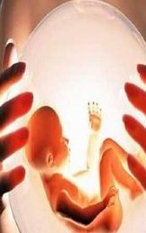 试管婴儿移植后，黄体酮针应打到何时停止？