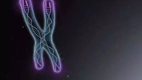 卵泡多大算成熟？