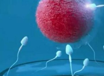 黑龙江试管婴儿医生哪些好呢？